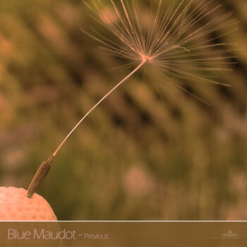 PHLOFI021_web