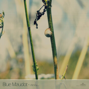 PHLOFI039_web