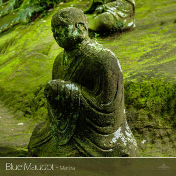 PHLOFI054_web