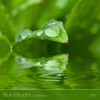 PHLOFI092_web