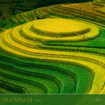 PHLOFI102_web